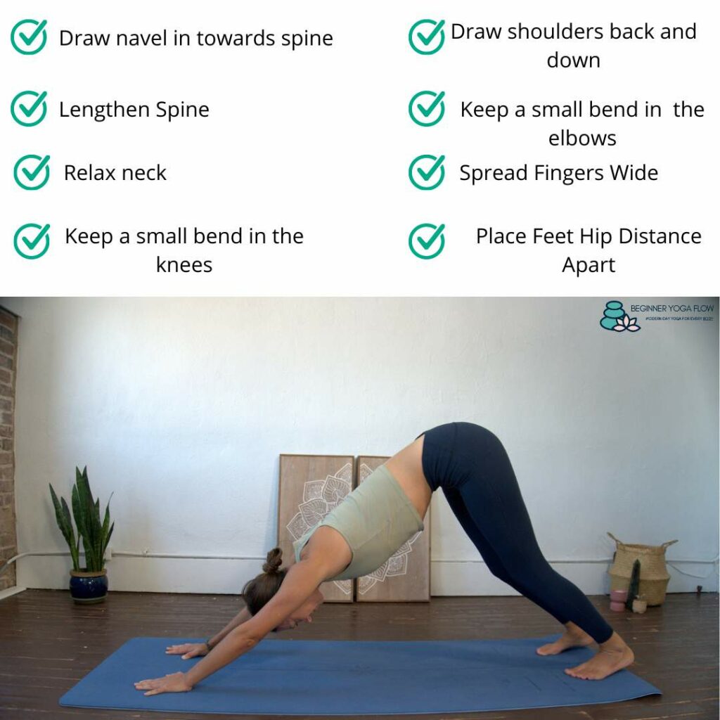 list of how to do downward facing dog